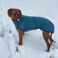 Kevin Jumper Vol.2 - Sofadogwear | S2/S3