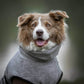 Bademantel / Hundebademantel Deek Dog