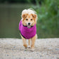 Bademantel / Hundebademantel Deek Dog