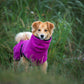 Bademantel / Hundebademantel Deek Dog