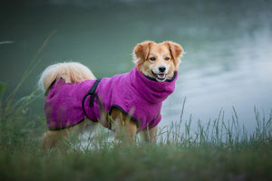 Bademantel / Hundebademantel Deek Dog