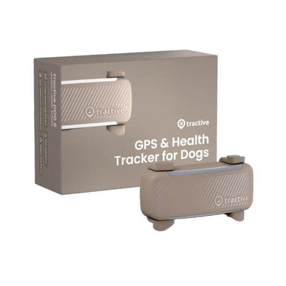 Traceur GPS pour chien Dog 6 - Tractive