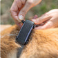Dog 6 Hunde GPS Tracker - Tractive