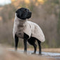 Peignoir / Peignoir pour chien Deek Dog
