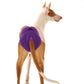 Culotte chauffante "Eve" - ​​​​Sofadogwear