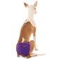 Culotte chauffante "Eve" - ​​​​Sofadogwear