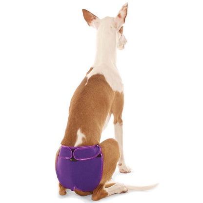 Culotte chauffante "Eve" - ​​​​Sofadogwear