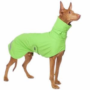 Michael Extrarain 04 - Sofadogwear
