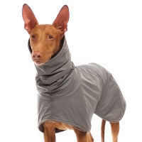 Michael Extrarain 02 - Sofadogwear (discontinued model)
