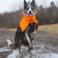 Fjord Raincoat - Nonstop Dogwear