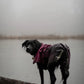 Fjord Raincoat - Nonstop Dogwear