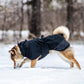Fjord Raincoat - Nonstop Dogwear