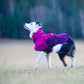 Fjord Raincoat - Nonstop Dogwear