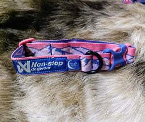 Trail Quest Collar click collar (Standard + Rachel Pohl) - Nonstop Dogwear