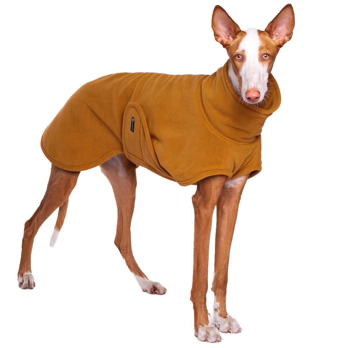 Hugo Soft - Sofadogwear