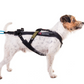 Freemotion Harness - Nonstop Dogwear