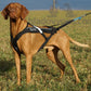 Freemotion Harness - Nonstop Dogwear