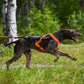 Freemotion 5.0 (Standart + Sonderfarben) - Nonstop Dogwear