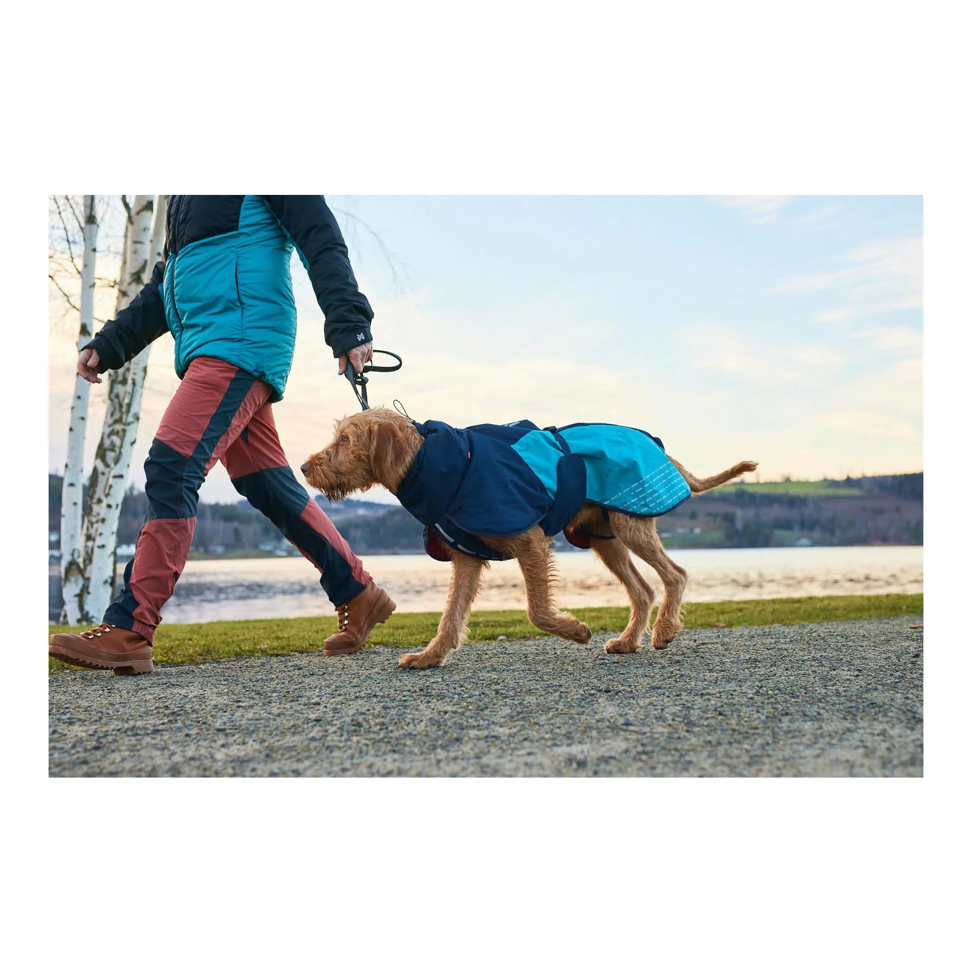 Non-stop Dogwear Glacier Wool Jacket 2.0 – Hundejacke Mit Ulvang-Wollfutter, Größe 27, Farbe Navy
