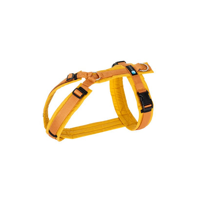 Harnais torse Fun (coloris standards et spéciaux) - Annyx