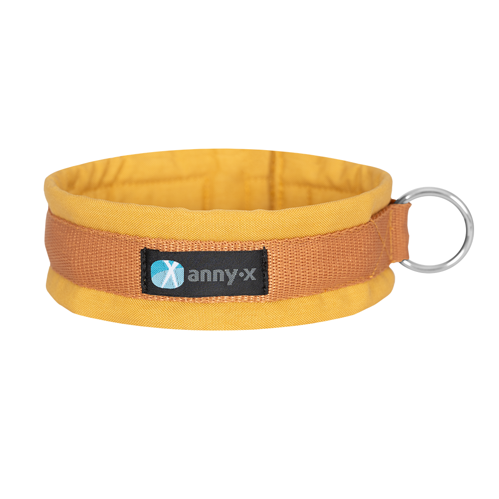 Weich Gepolstertes Hundehalsband Aus Nylon – Verstellbar Mit Metallschnalle Für Outdoor & Alltag (Typ 2)