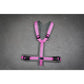 Brustgeschirr Fun (Standart- und Sonderfarben) - Annyx | L-Lang