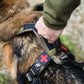 Line Harness Grip - Vêtements pour chiens non stop