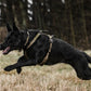 Line Harness Grip - Vêtements pour chiens non stop
