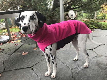 Hachico Home, fleece shirt - Sofadogwear