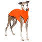 Hachico Jumper 02 - Sofadogwear | XS1