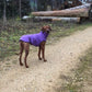 Hachico Jumper 02 - Sofadogwear | XS2