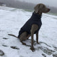 Hachico Jumper 02 - Sofadogwear | XS2