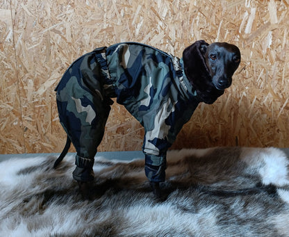 Kelly IG Snow - Sofadogwear