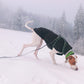 Kevin Jumper Vol.2 - Sofadogwear | S2/S3