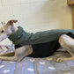 Fleece Top - DG Doggear