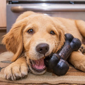 Extreme Goodie Bone - Kong