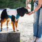 Kühl Shirt - Nonstop Dogwear
