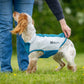 Kühl Shirt - Nonstop Dogwear