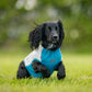 Kühl Shirt - Nonstop Dogwear