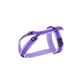 Chest harness Fun (standard and special colors) - Annyx
