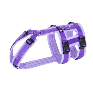 Safety harness "Safety" NORMAL sizes - Annyx