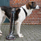 Bolt carabiner leash (standard/special colors) - Annyx