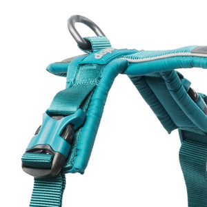 line harness teal 1