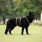 Line Harness Grip - Vêtements pour chiens non stop