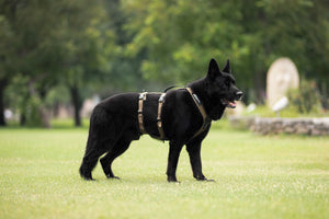 Line Harness Long WD - Nonstop Dogwear