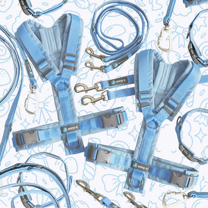 Harnais de poitrine collection automne édition limitée - Annyx
