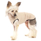 Hachico Micro-C Jumper - Sofadogwear