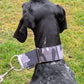 Collier anti-traction doux Neon (6,3 cm de large) - Sofadogwear
