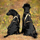Harnais Rush - Vêtements pour chiens non-stop
