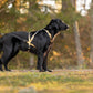Harnais Rush - Vêtements pour chiens non-stop